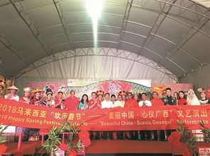 广西将高规格举办中国 东盟文化旅游周活动